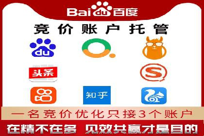 谷歌SEM广告策略：某电商平台的成功逆袭案例